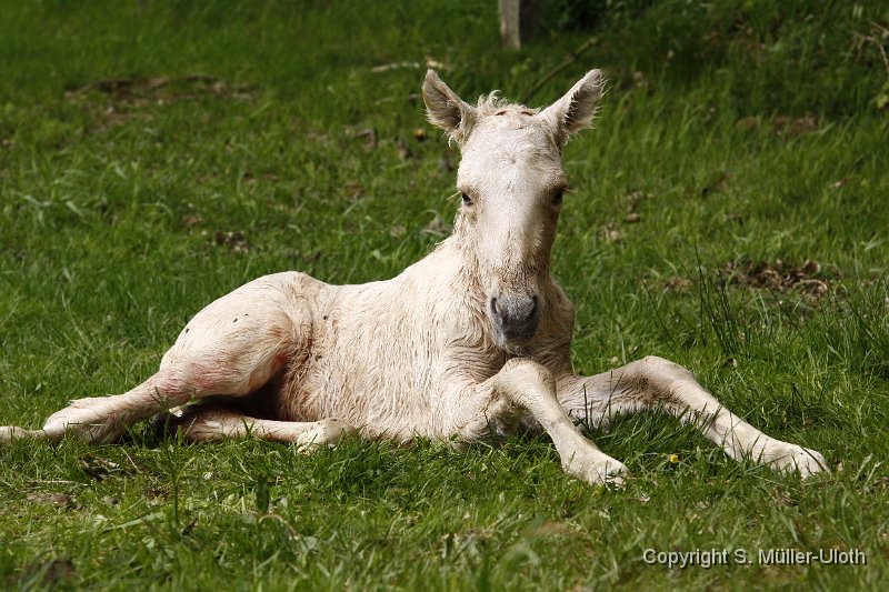 Hjoerdis 22 Min alt (4).JPG